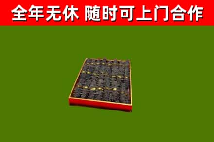 淅川回收海参